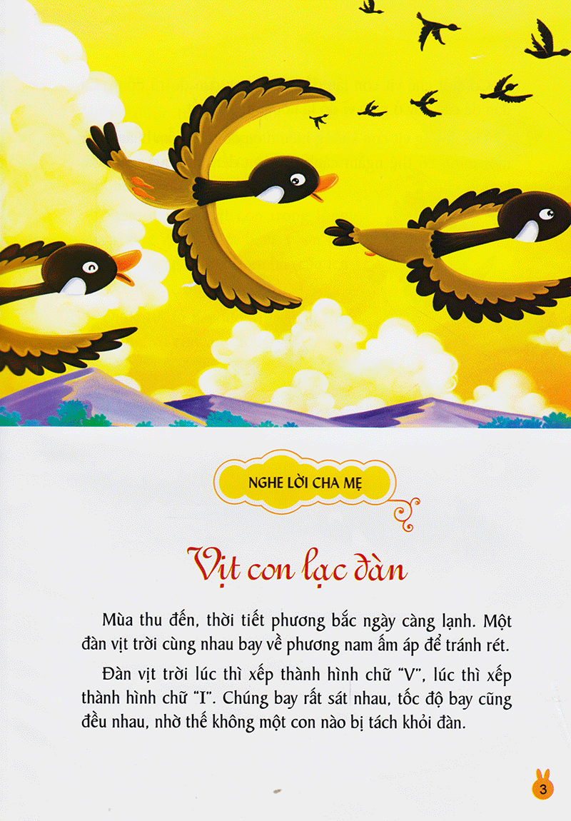 vườn ươm tính cách - tình cảm và trách nhiệm - Ảnh 3