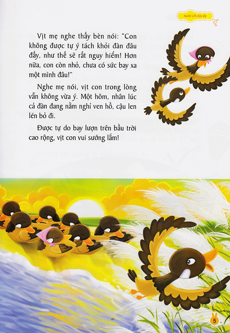 vườn ươm tính cách - tình cảm và trách nhiệm - Ảnh 5