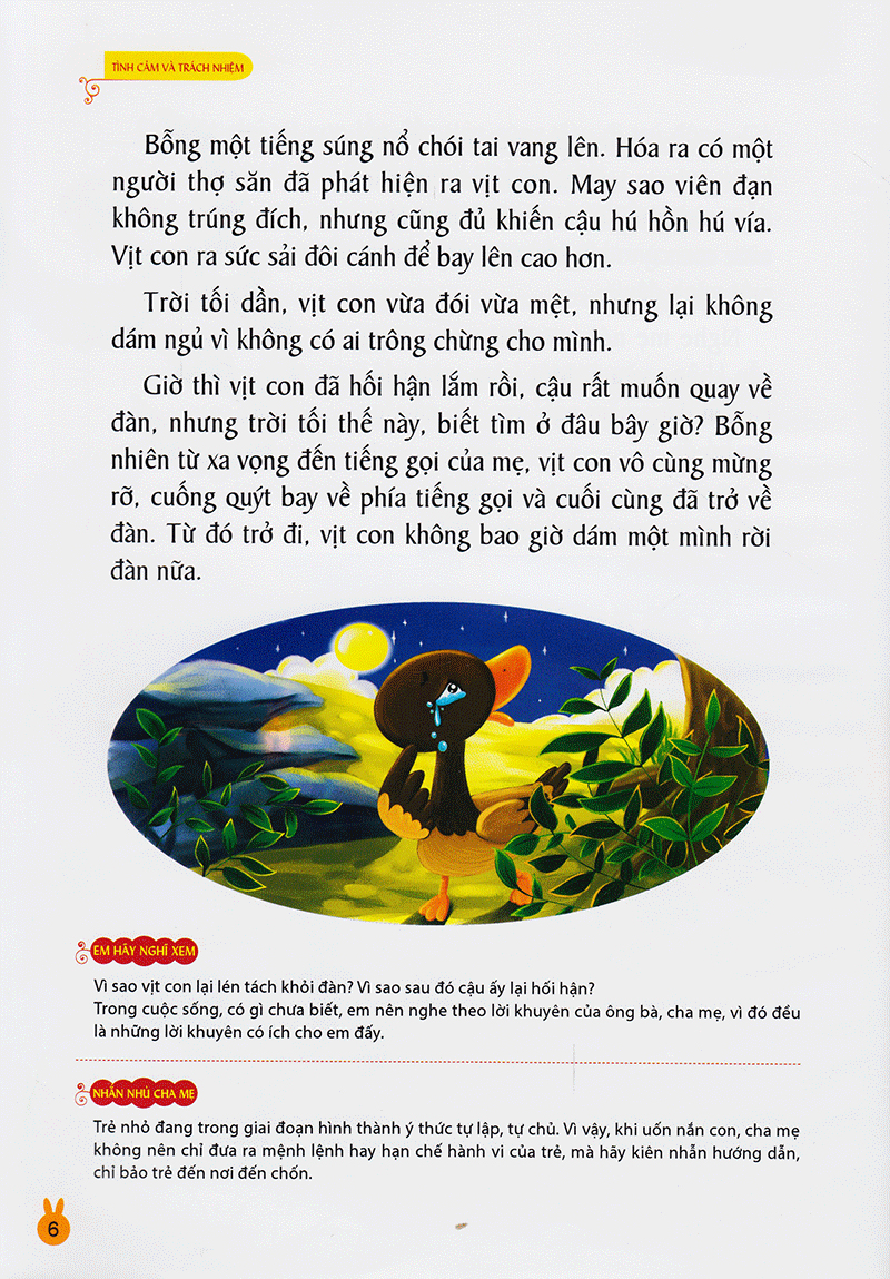 vườn ươm tính cách - tình cảm và trách nhiệm - Ảnh 6