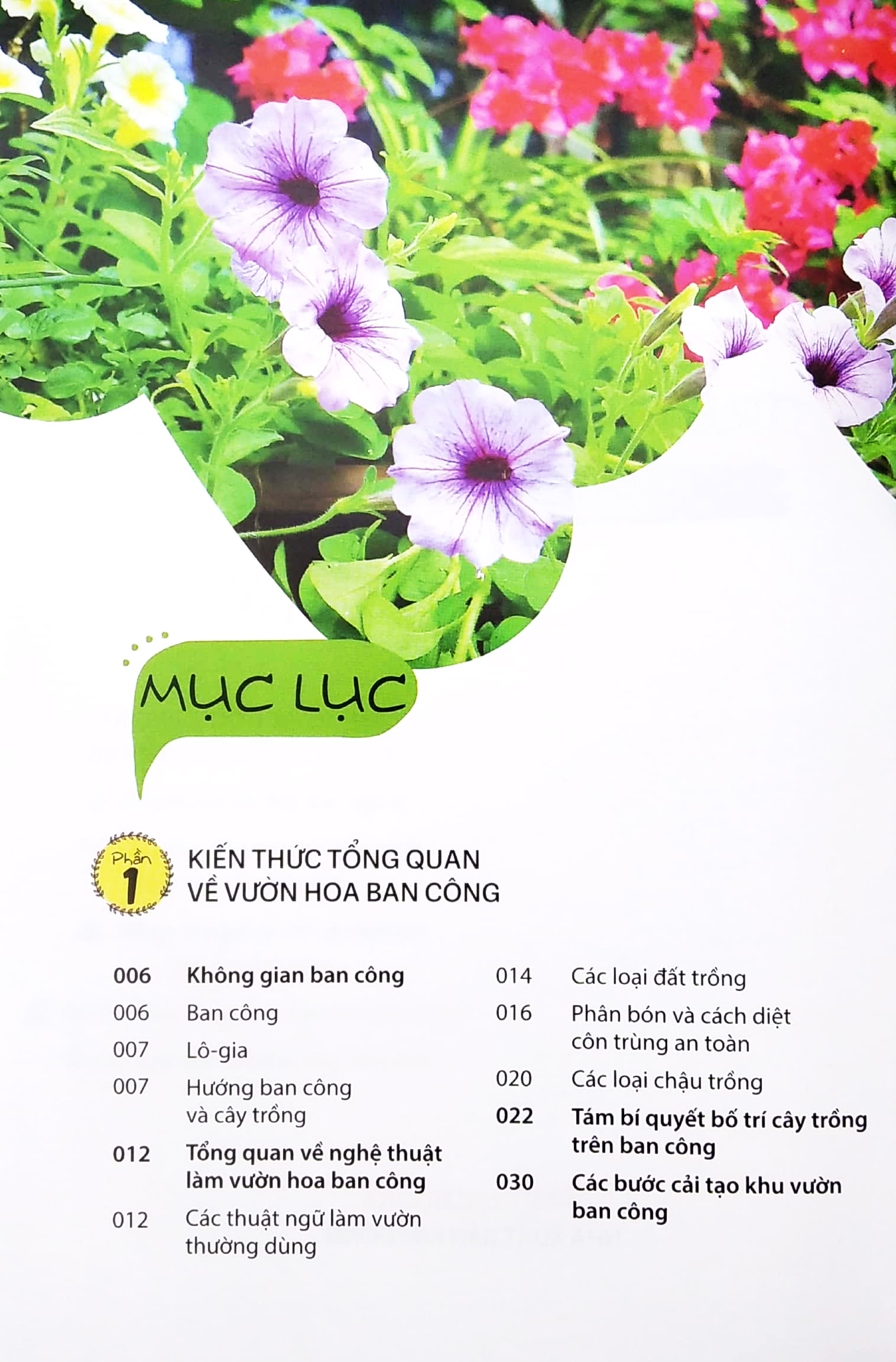 vườn xinh trên ban công nhỏ - Ảnh 3