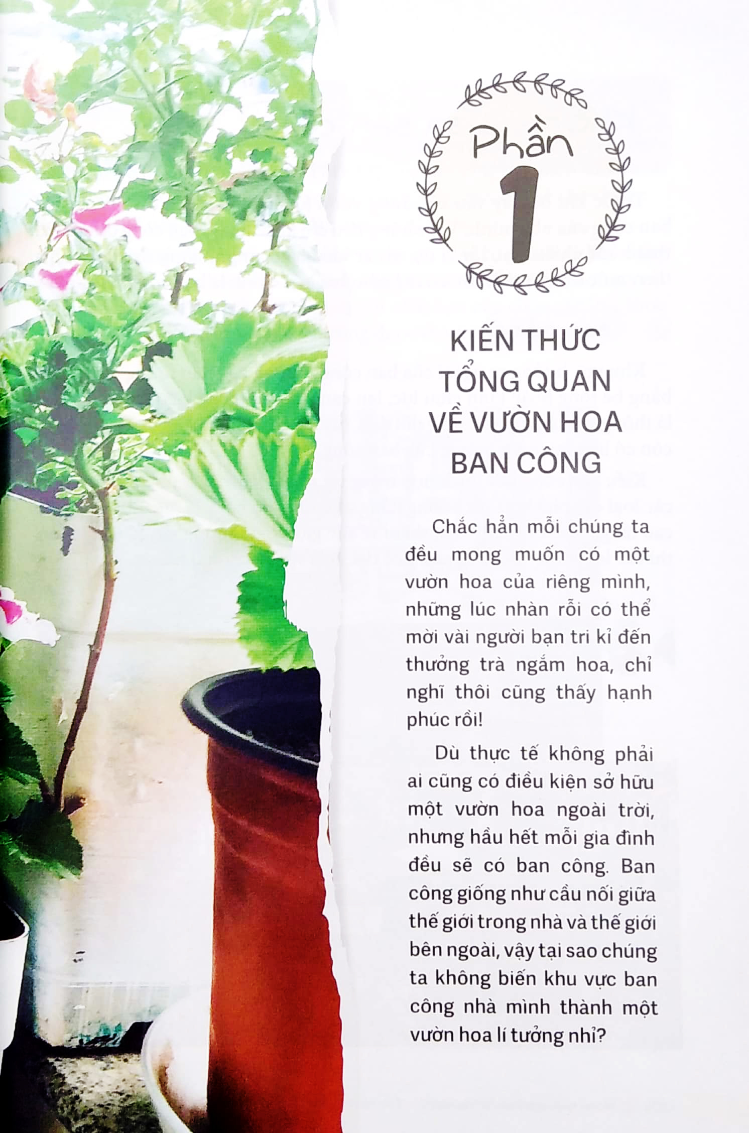 vườn xinh trên ban công nhỏ - Ảnh 4