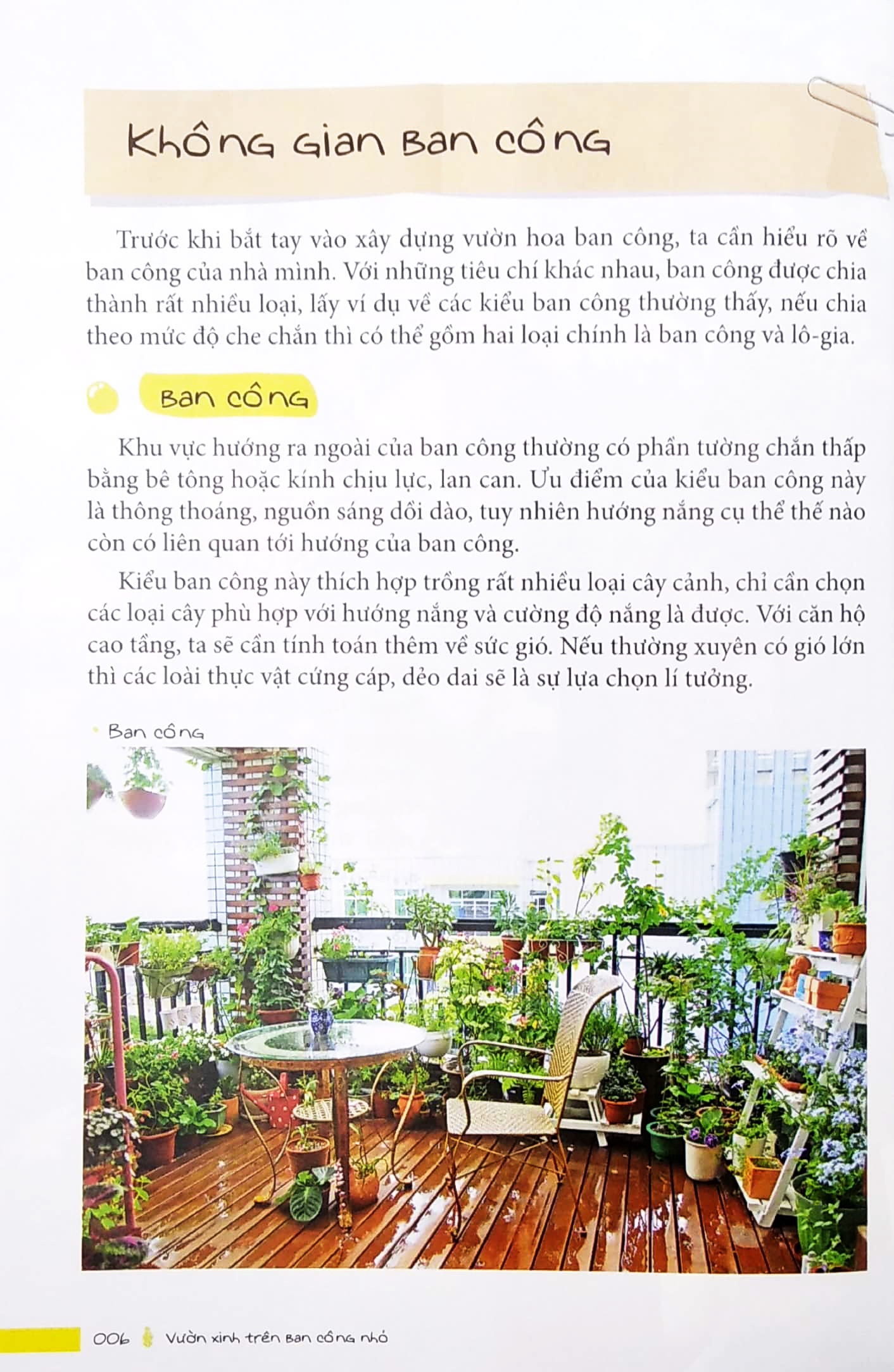 vườn xinh trên ban công nhỏ - Ảnh 5