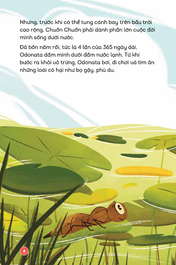 vương quốc côn trùng - tung cánh bay cao - Ảnh 6