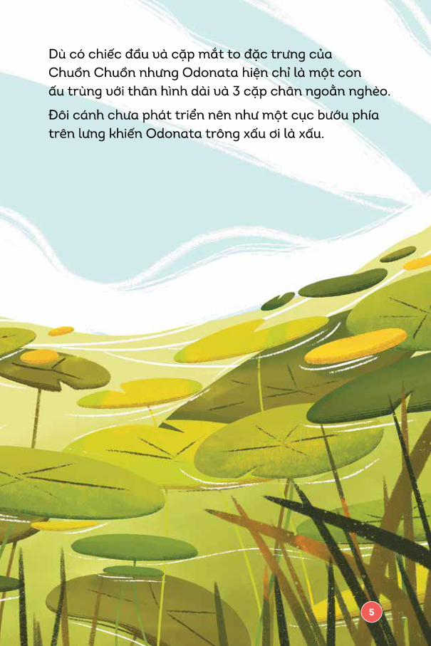 vương quốc côn trùng - tung cánh bay cao - Ảnh 7