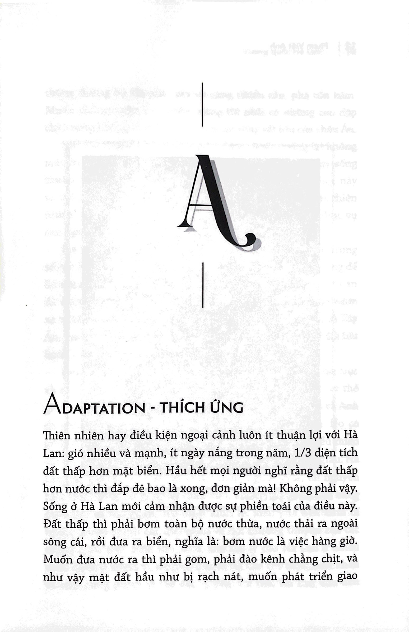 vương quốc hà lan - những từ khóa làm nên sự thành công và độc đáo - Ảnh 9