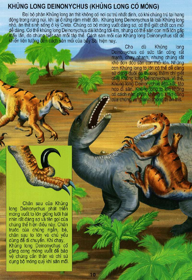 vương quốc khủng long - thế giới động vật kỳ thú - Ảnh 10