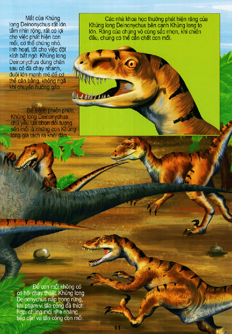 vương quốc khủng long - thế giới động vật kỳ thú - Ảnh 11