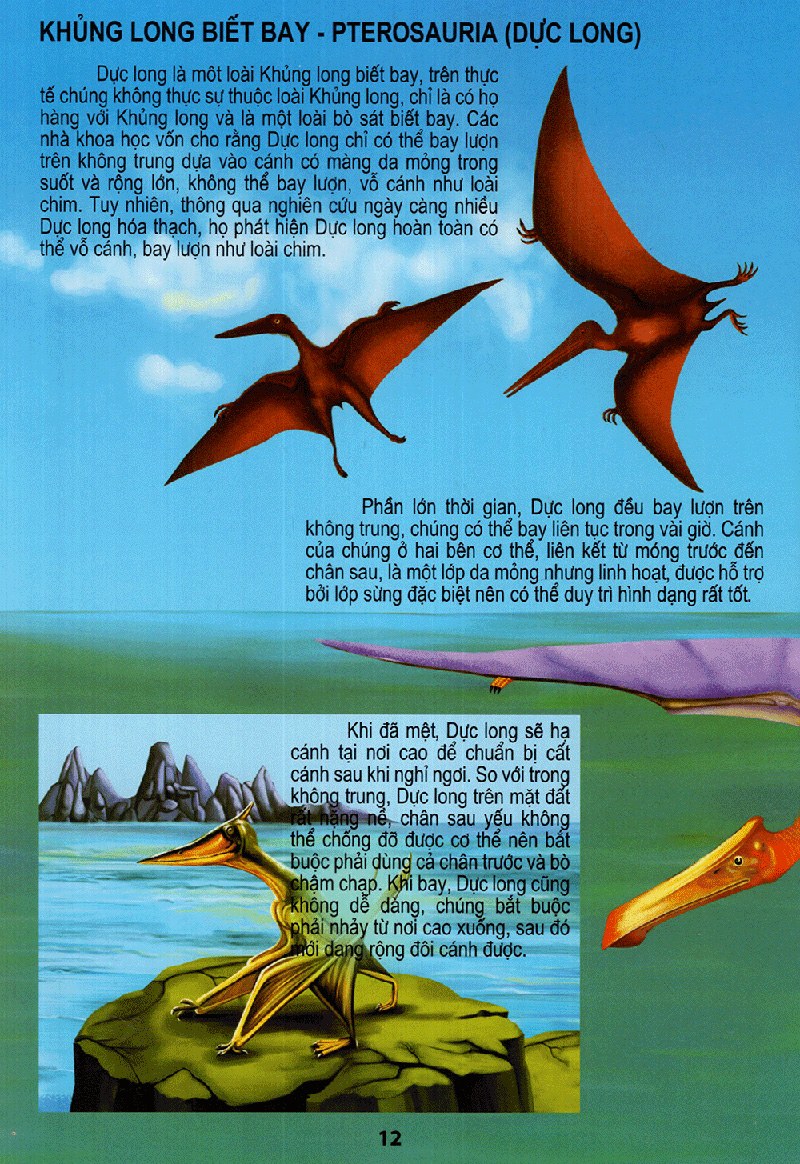 vương quốc khủng long - thế giới động vật kỳ thú - Ảnh 12