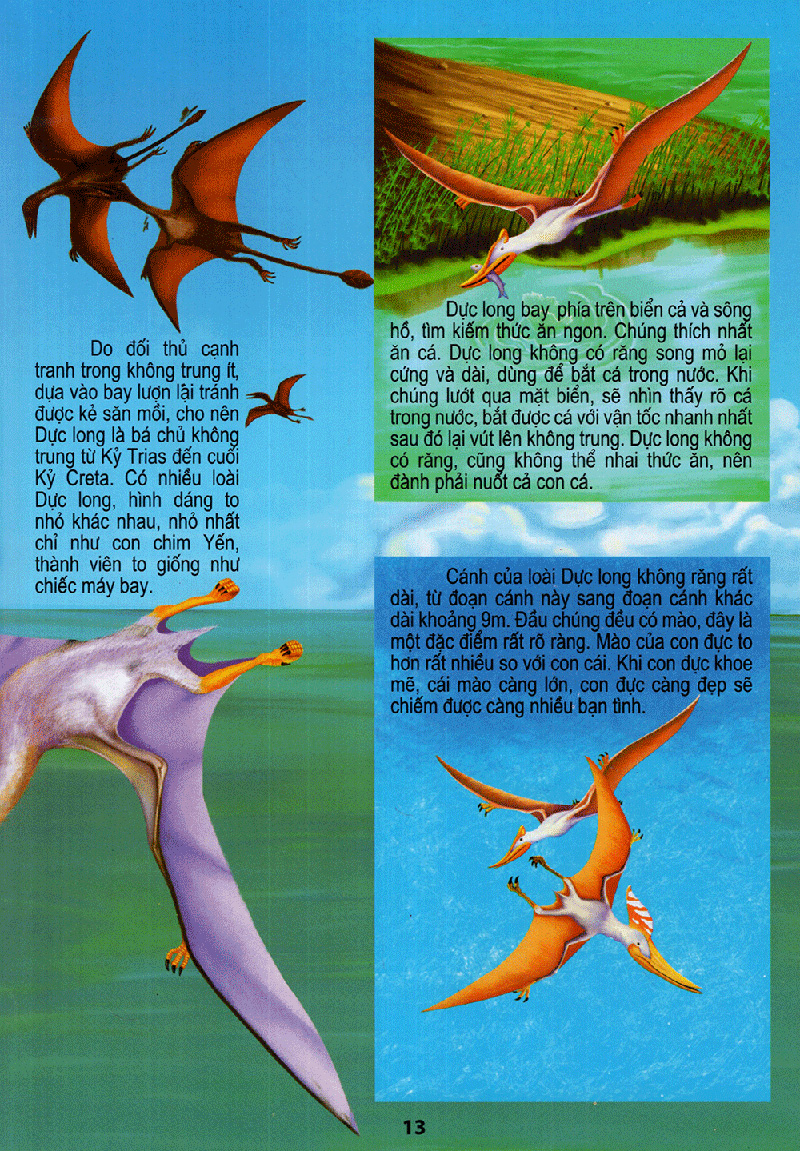 vương quốc khủng long - thế giới động vật kỳ thú - Ảnh 13