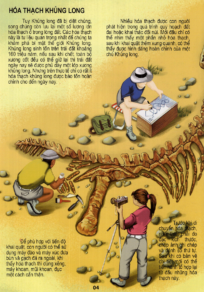 vương quốc khủng long - thế giới động vật kỳ thú - Ảnh 4