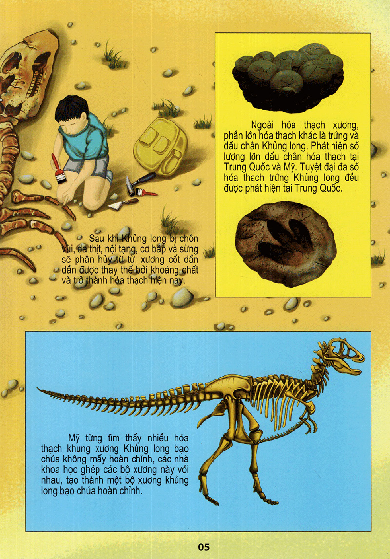 vương quốc khủng long - thế giới động vật kỳ thú - Ảnh 5