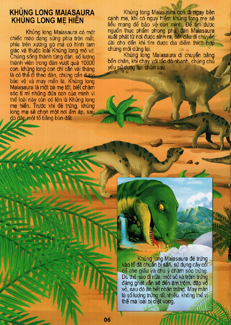 vương quốc khủng long - thế giới động vật kỳ thú - Ảnh 6