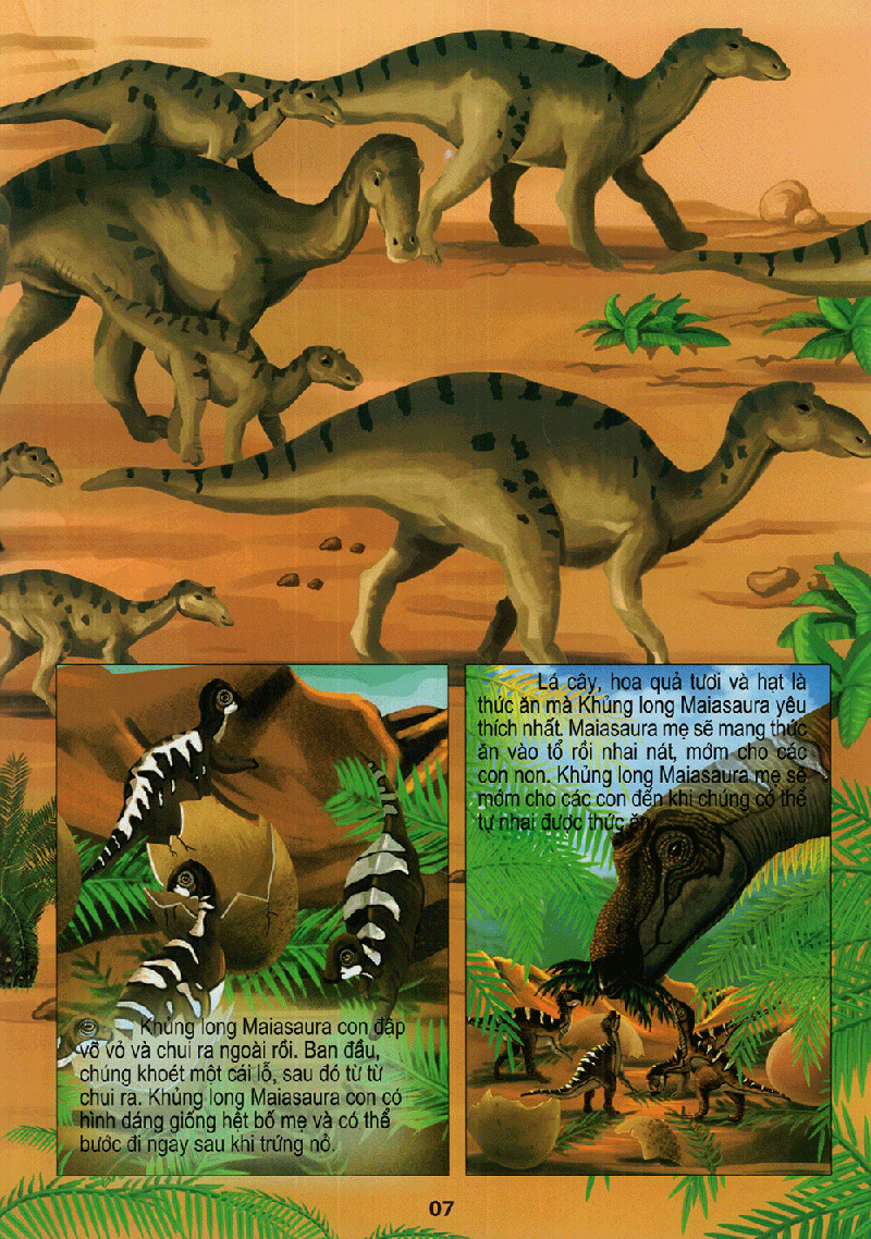 vương quốc khủng long - thế giới động vật kỳ thú - Ảnh 7