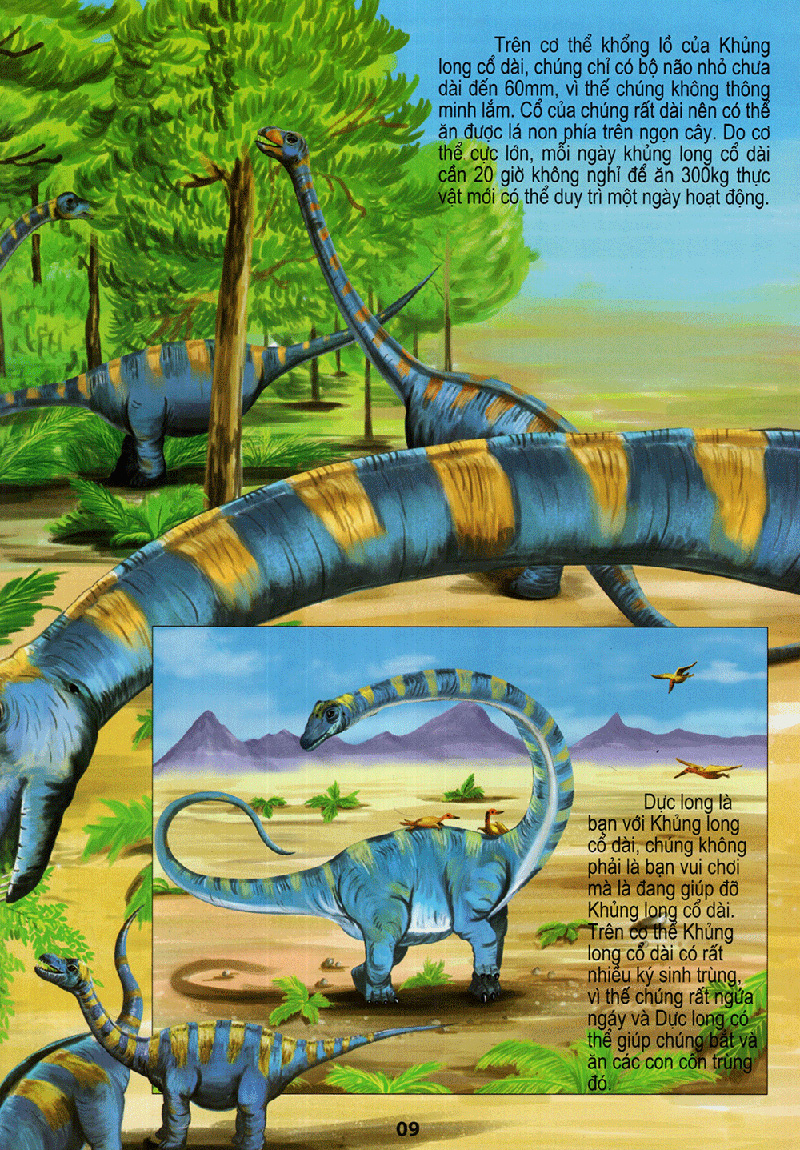 vương quốc khủng long - thế giới động vật kỳ thú - Ảnh 9