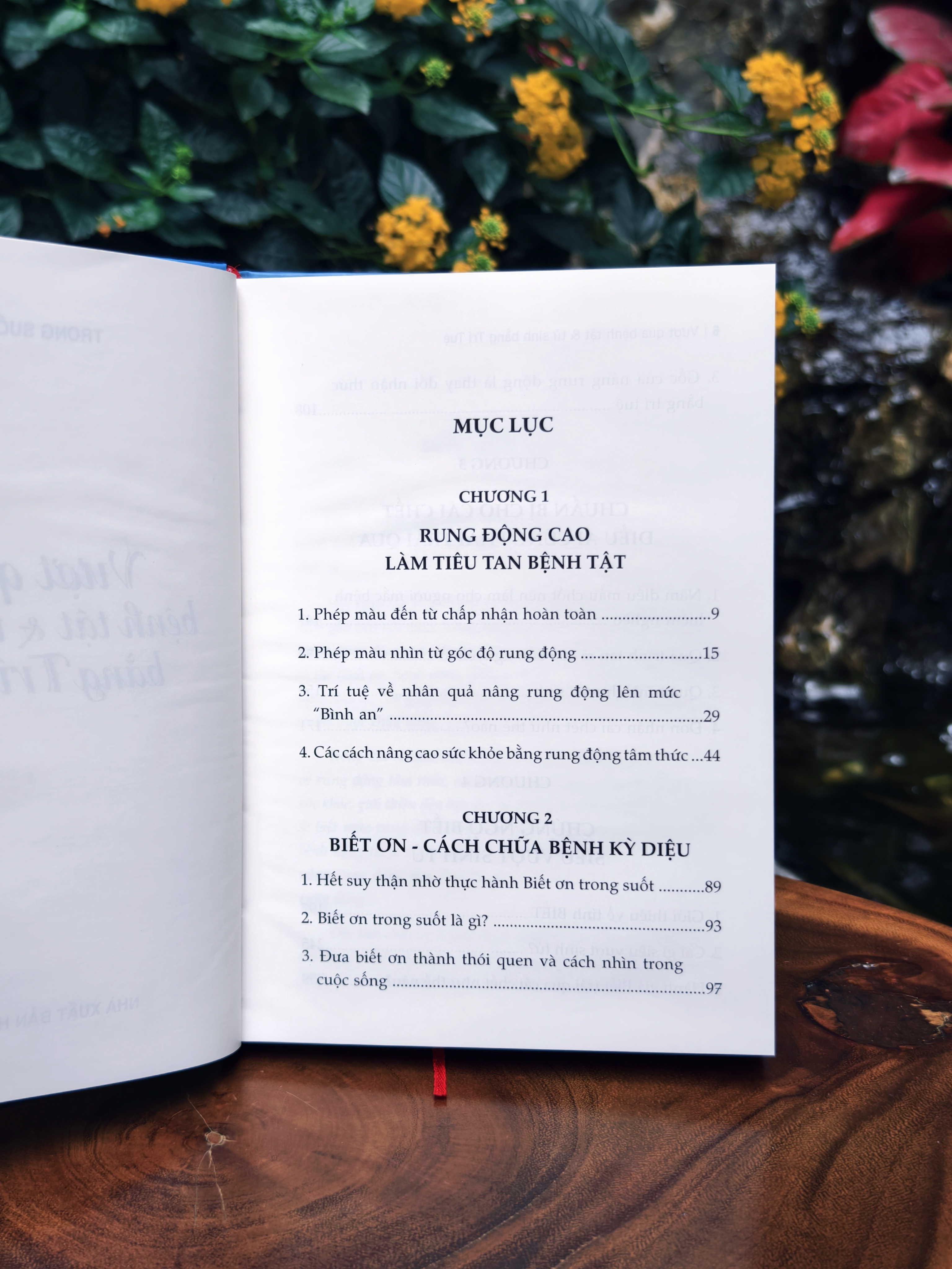 Vuot Qua Benh Tat Va Tu Sinh Bang Tri Tue - Bia Cung - Ảnh 3