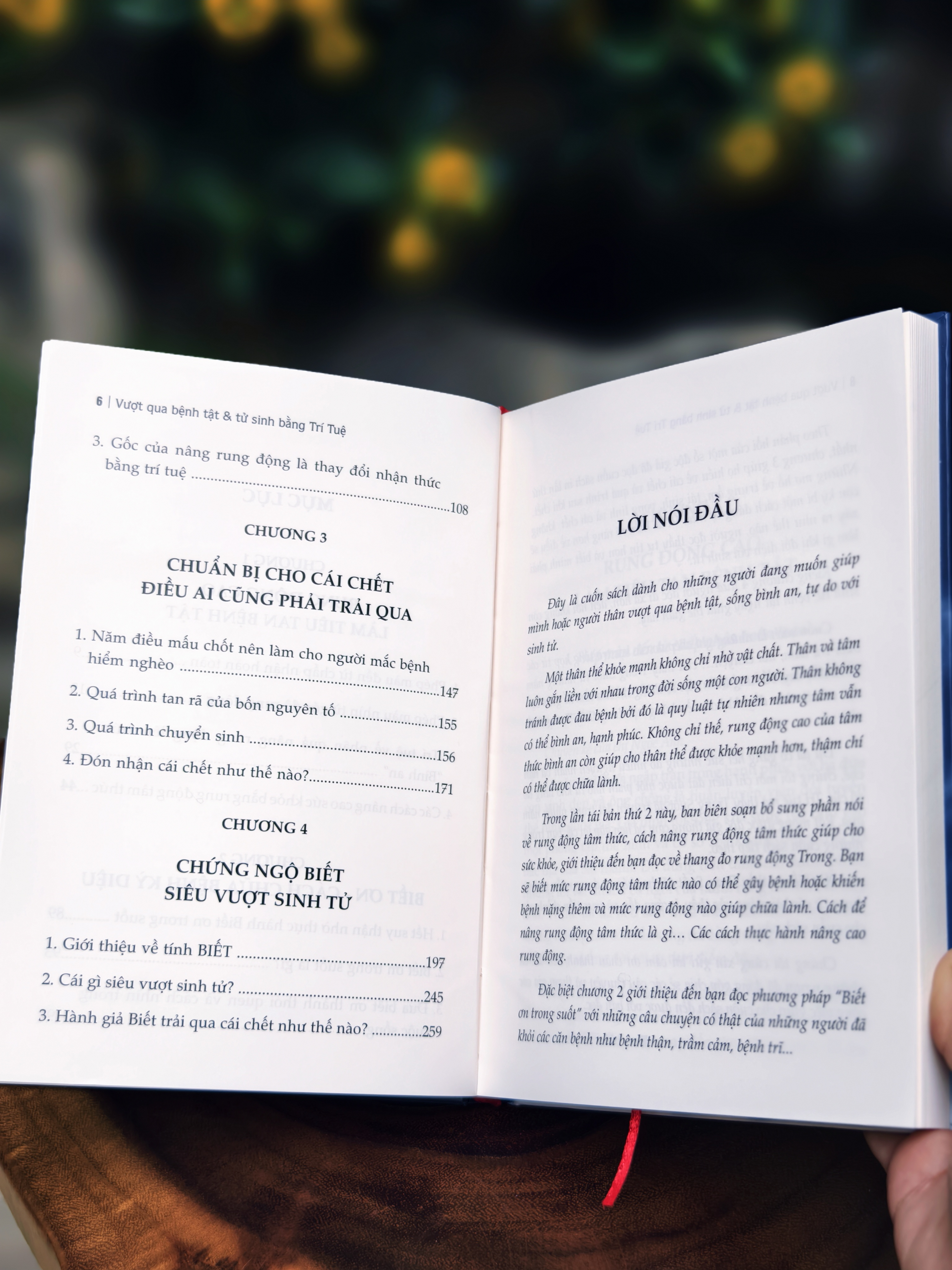 Vuot Qua Benh Tat Va Tu Sinh Bang Tri Tue - Bia Cung - Ảnh 4