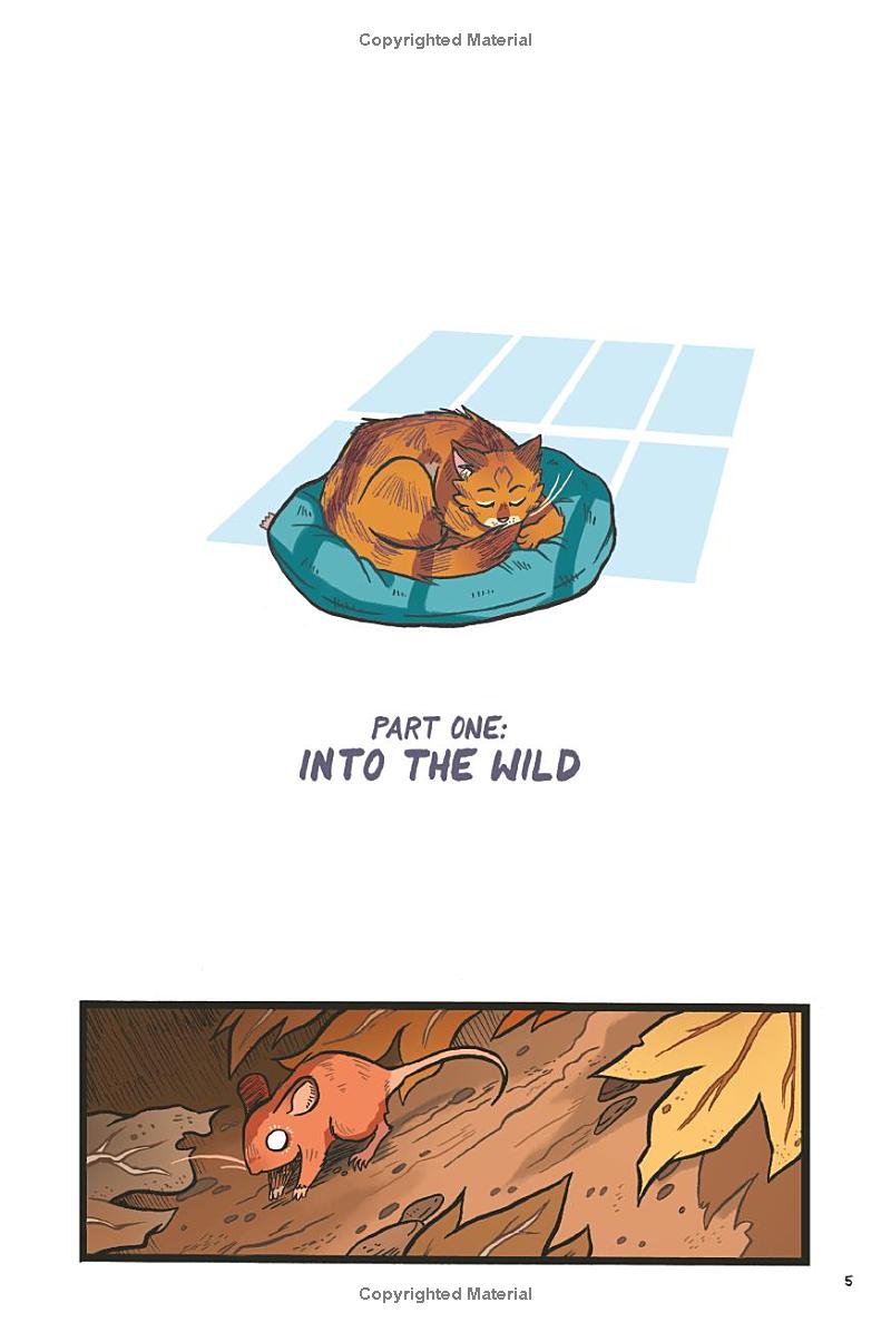 Warriors Graphic Novel - The Prophecies Begin #1 - Ảnh 10