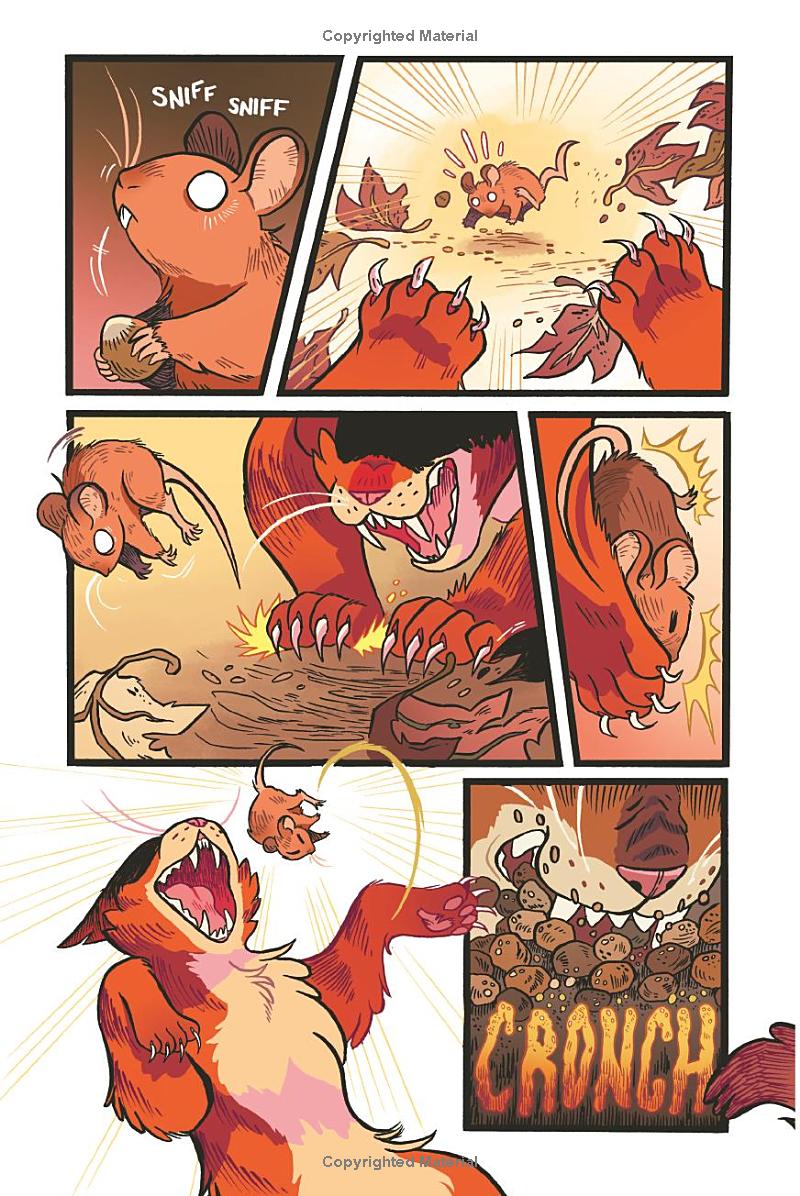 Warriors Graphic Novel - The Prophecies Begin #1 - Ảnh 11