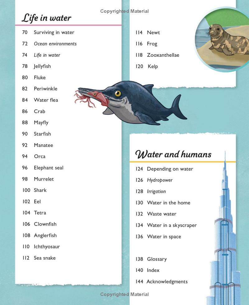 water cycles - Ảnh 9