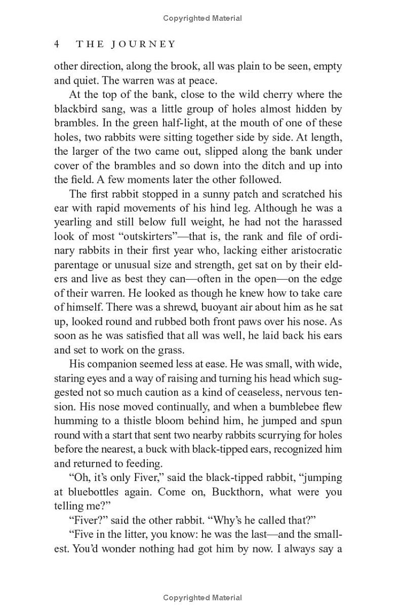 watership down - Ảnh 10