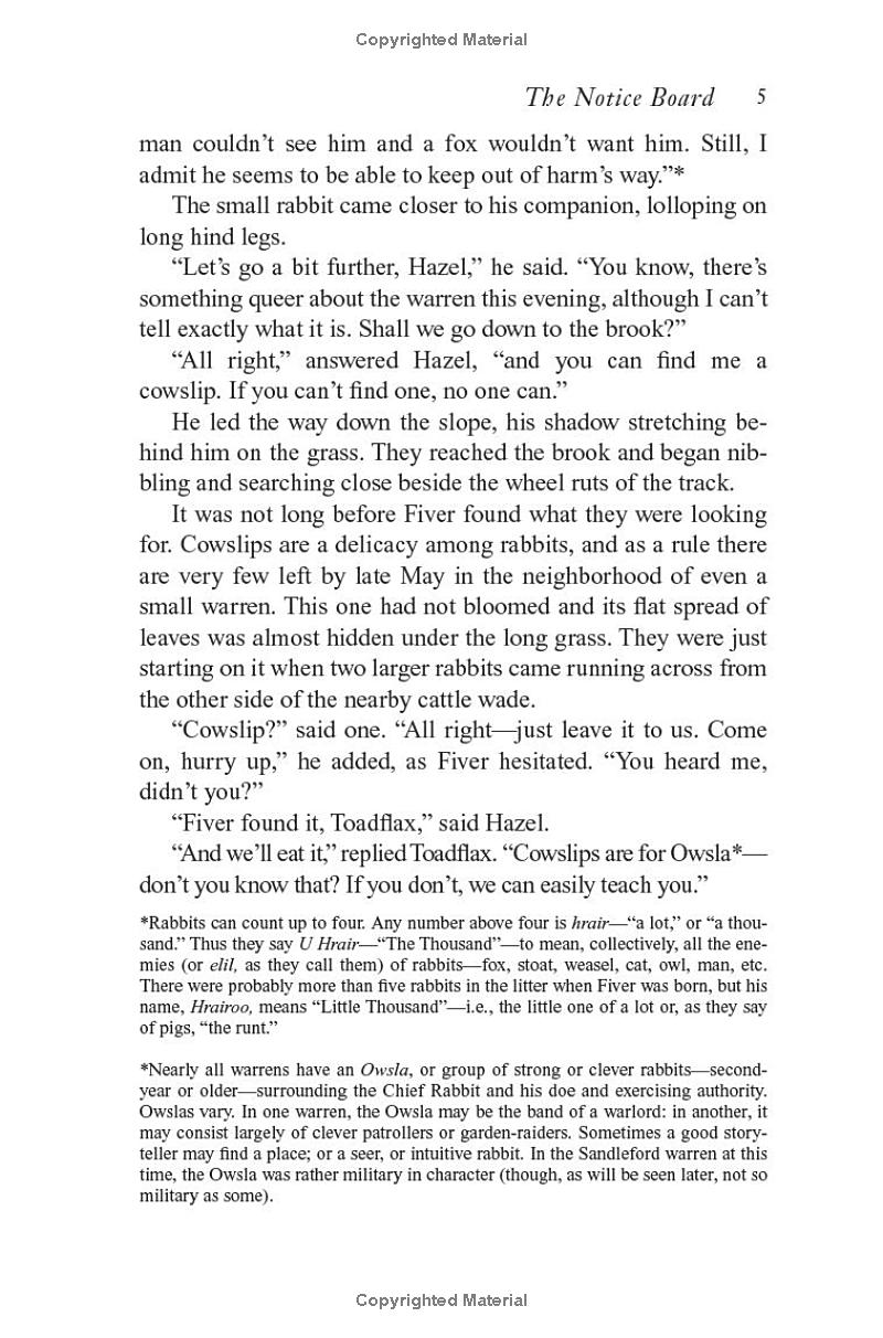 watership down - Ảnh 11