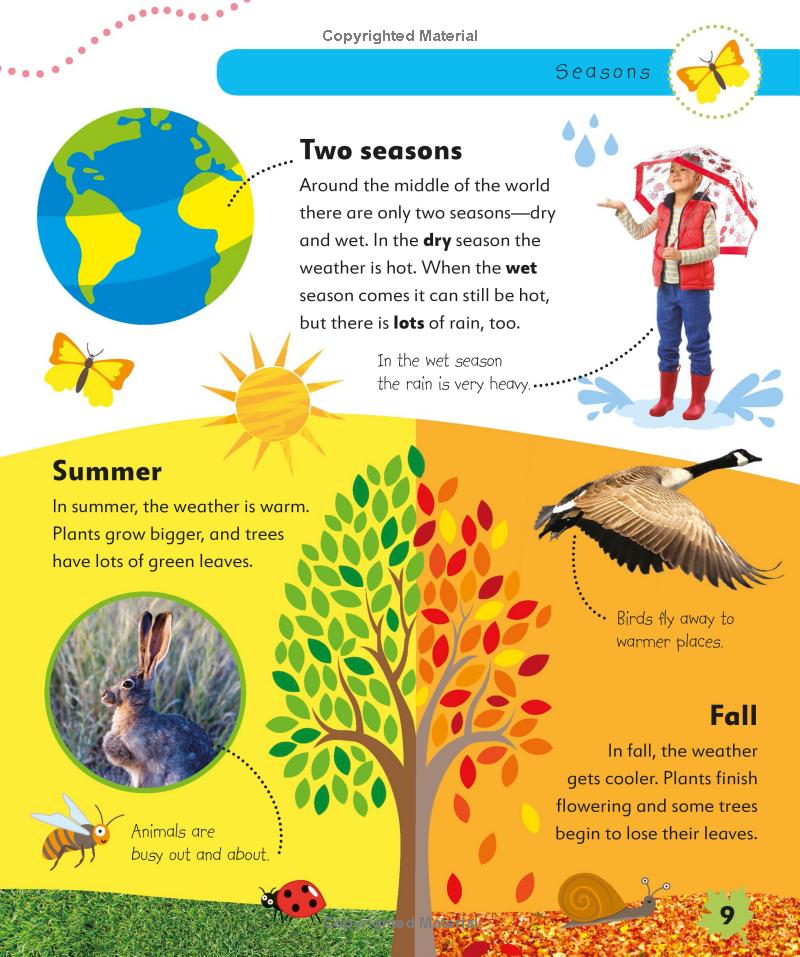 weather and the seasons - Ảnh 10