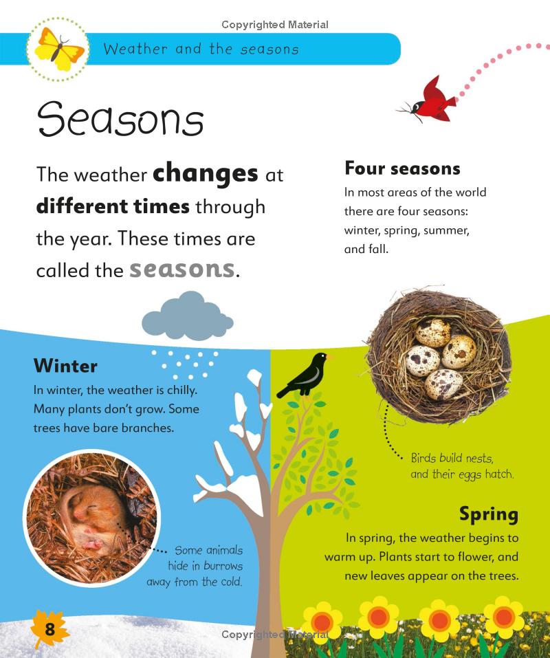 weather and the seasons - Ảnh 9