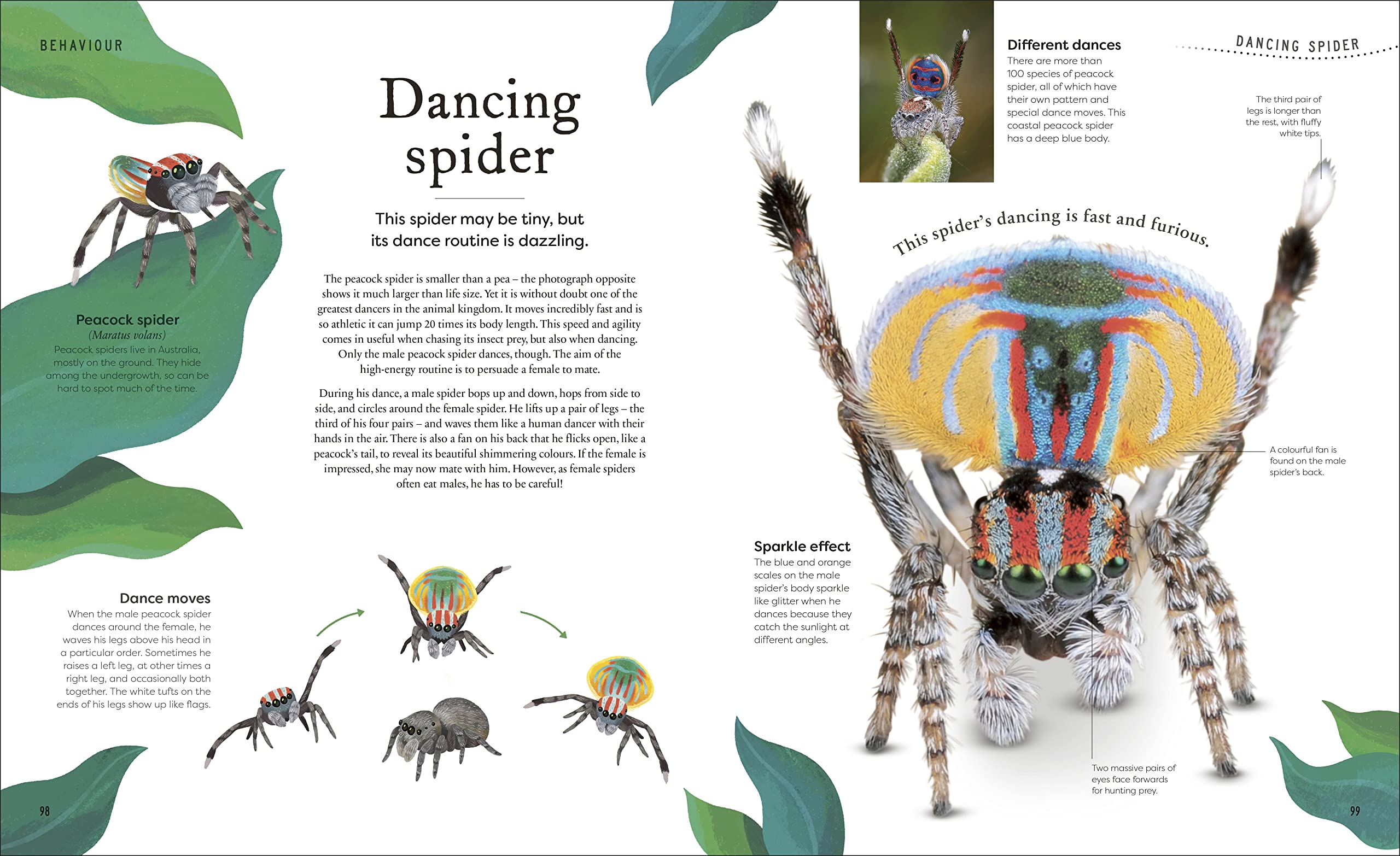 weird and wonderful nature -tales of more than 100 unique animals, plants, and phenomena - Ảnh 5