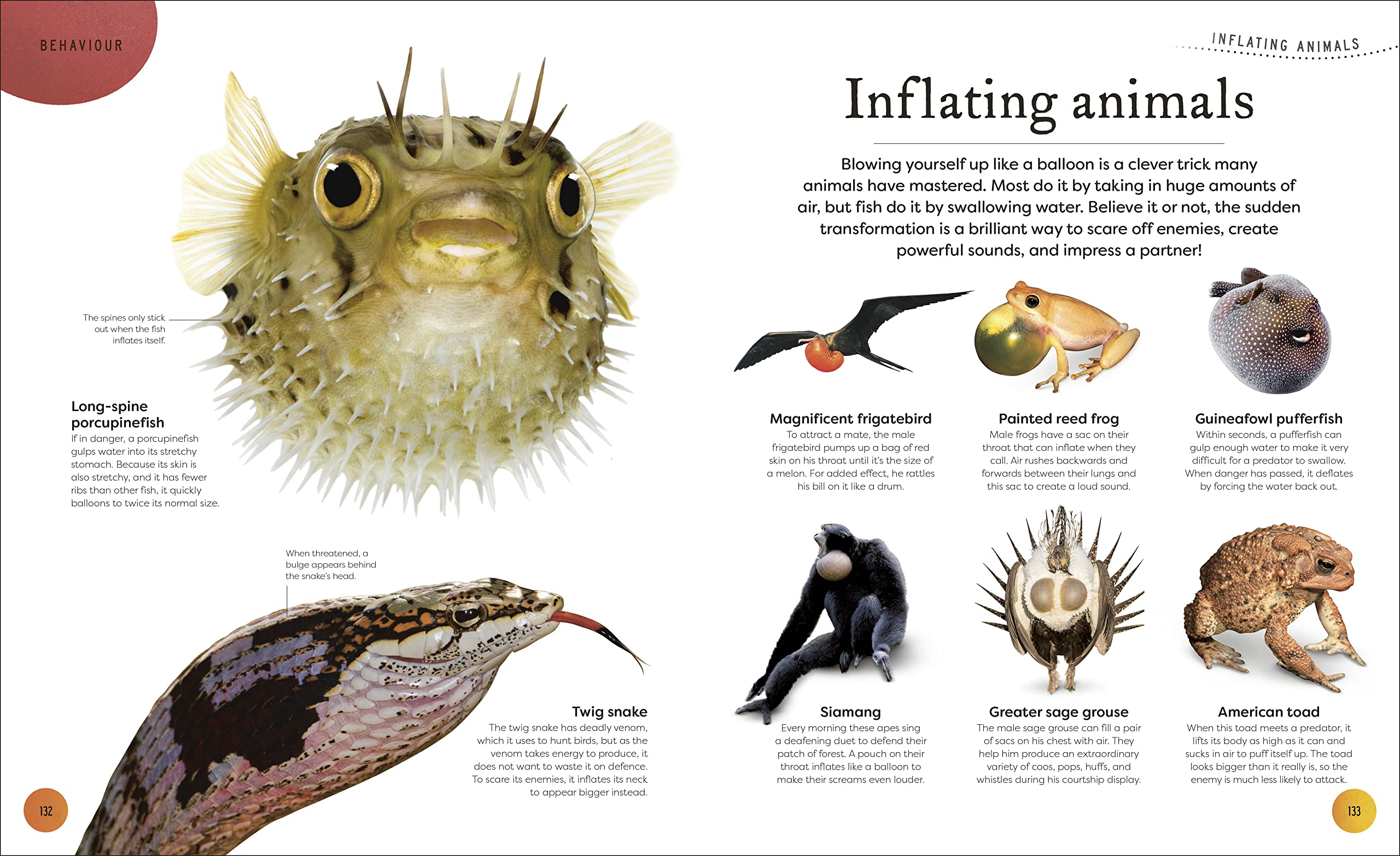 weird and wonderful nature -tales of more than 100 unique animals, plants, and phenomena - Ảnh 6