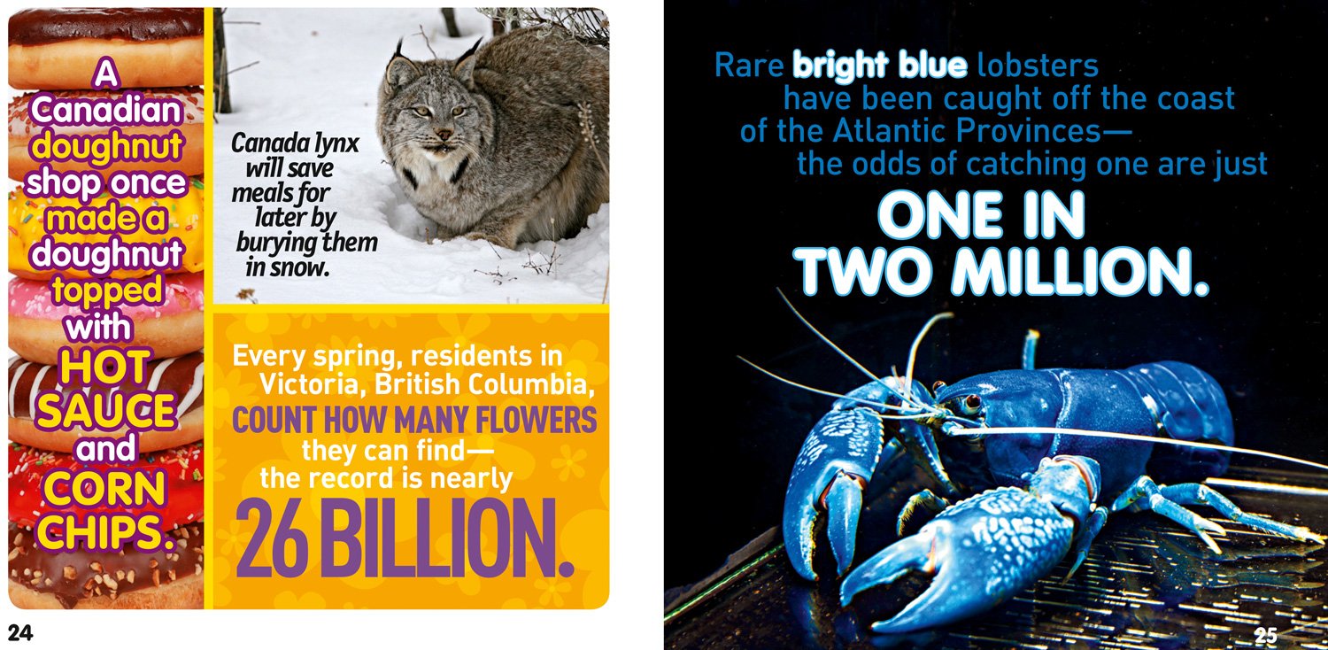 weird but true! canada: 300 outrageous facts about the true north - Ảnh 3