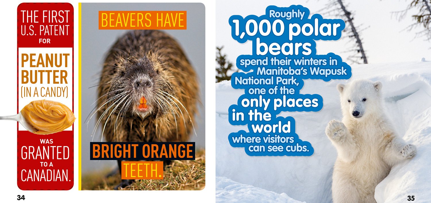 weird but true! canada: 300 outrageous facts about the true north - Ảnh 4