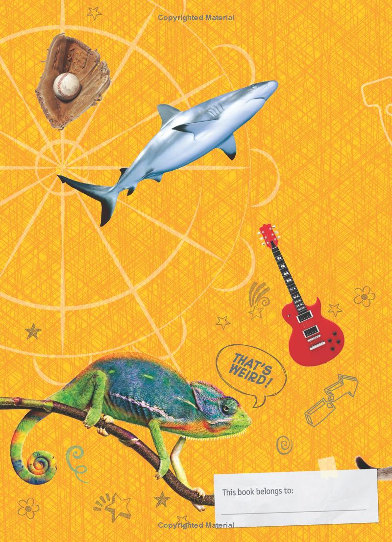 weird but true! cool and crazy sticker doodle book - Ảnh 7