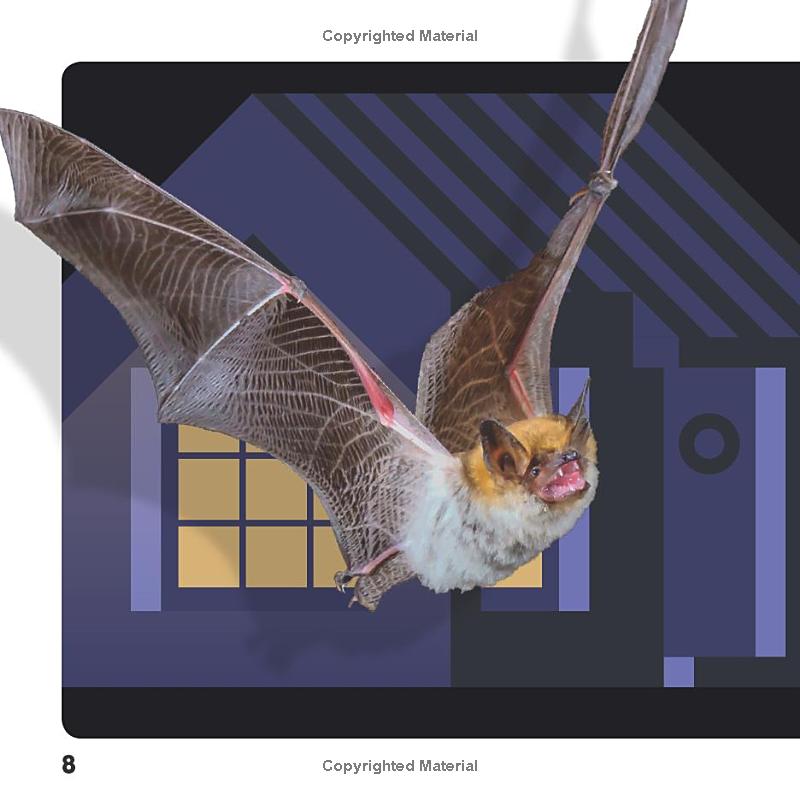 weird but true! halloween: 300 spooky facts to scare you silly - Ảnh 10