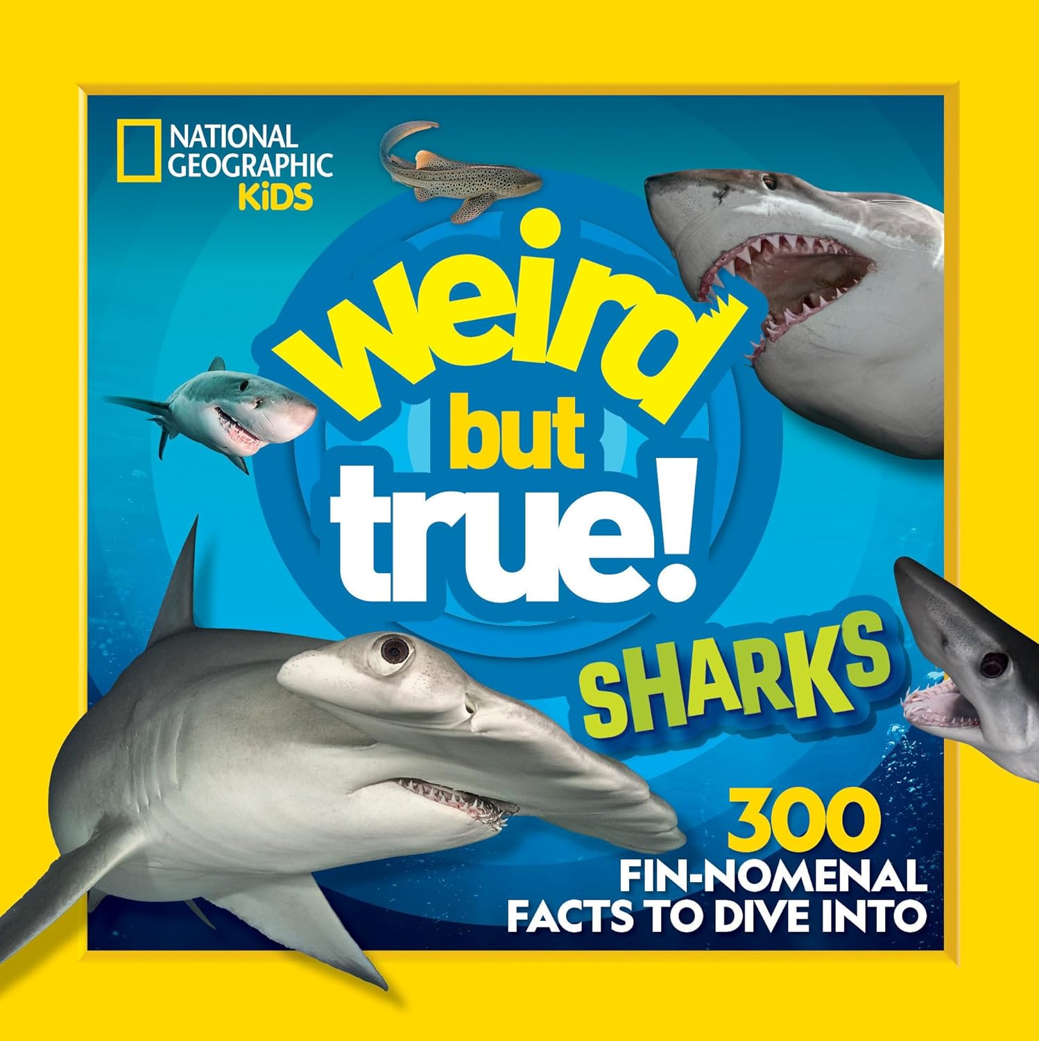 weird but true! sharks - Ảnh 2