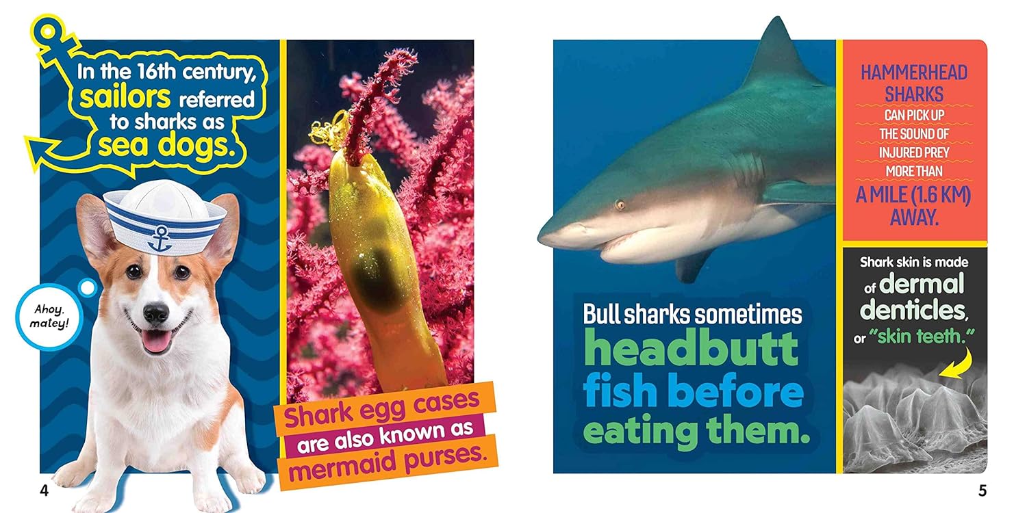 weird but true! sharks - Ảnh 3
