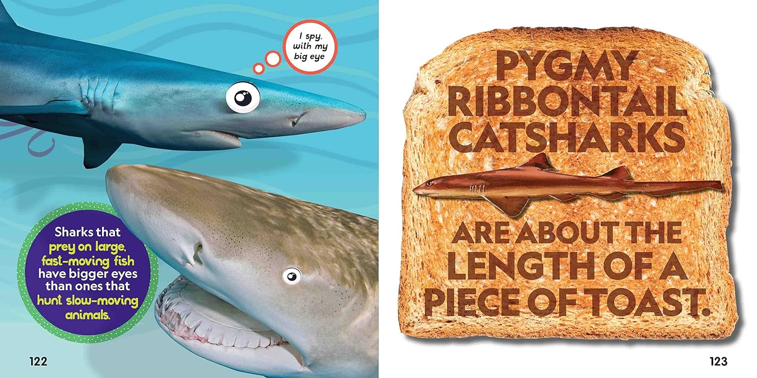 weird but true! sharks - Ảnh 5