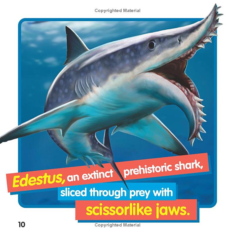 weird but true! sharks - Ảnh 6