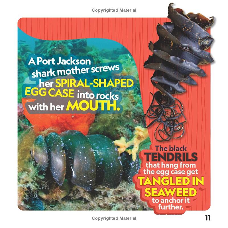 weird but true! sharks - Ảnh 7