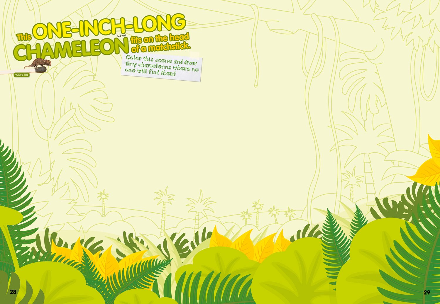 weird but true! sticker doodle book: outrageous facts, awesome activities, plus cool stickers for tons of wacky fun! - Ảnh 3