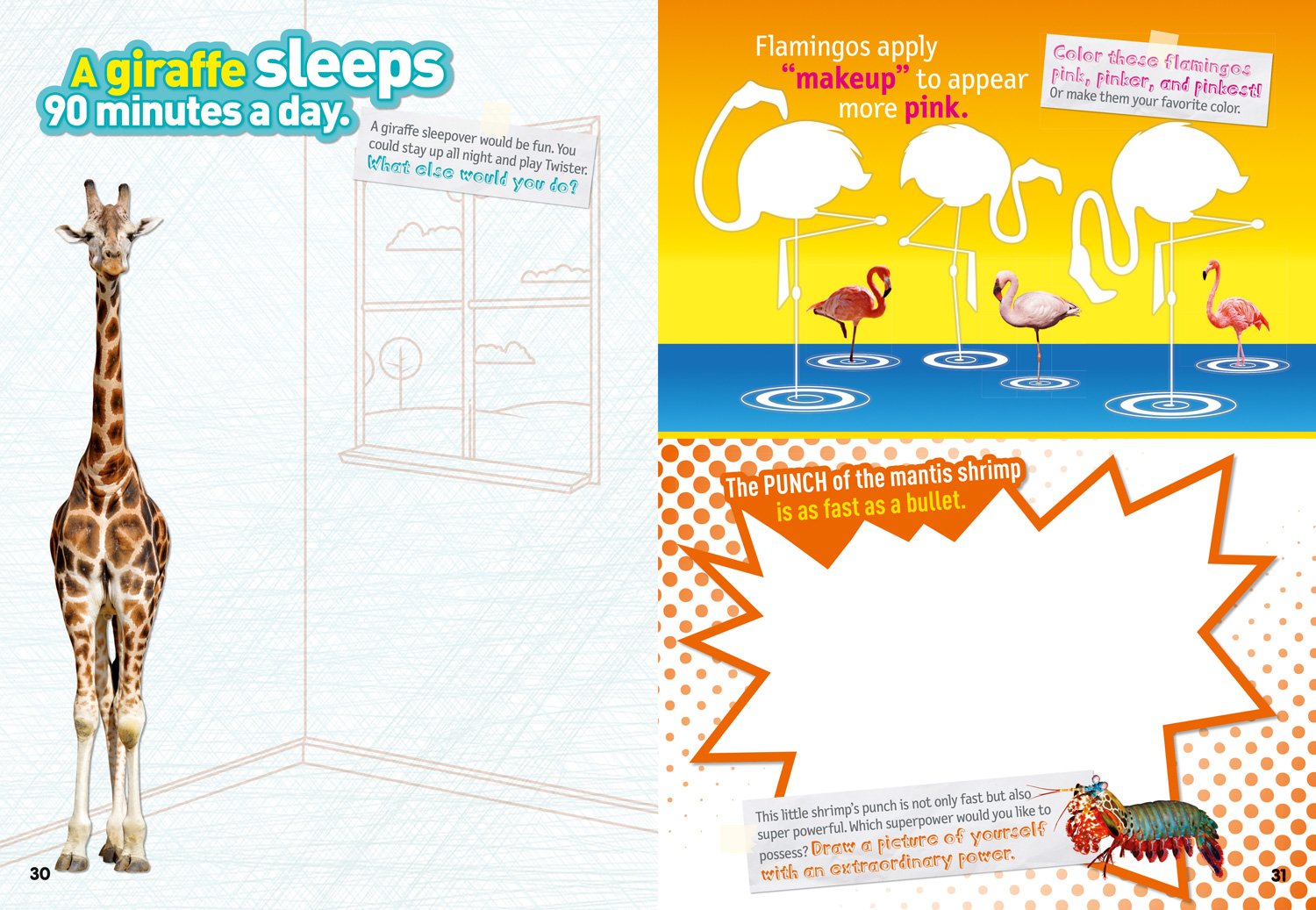 weird but true! sticker doodle book: outrageous facts, awesome activities, plus cool stickers for tons of wacky fun! - Ảnh 4