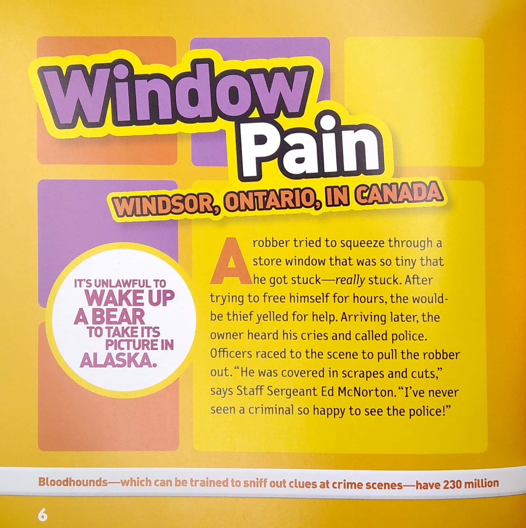 weird but true! stupid criminals: 150 brainless baddies busted, plus wacky facts - Ảnh 4