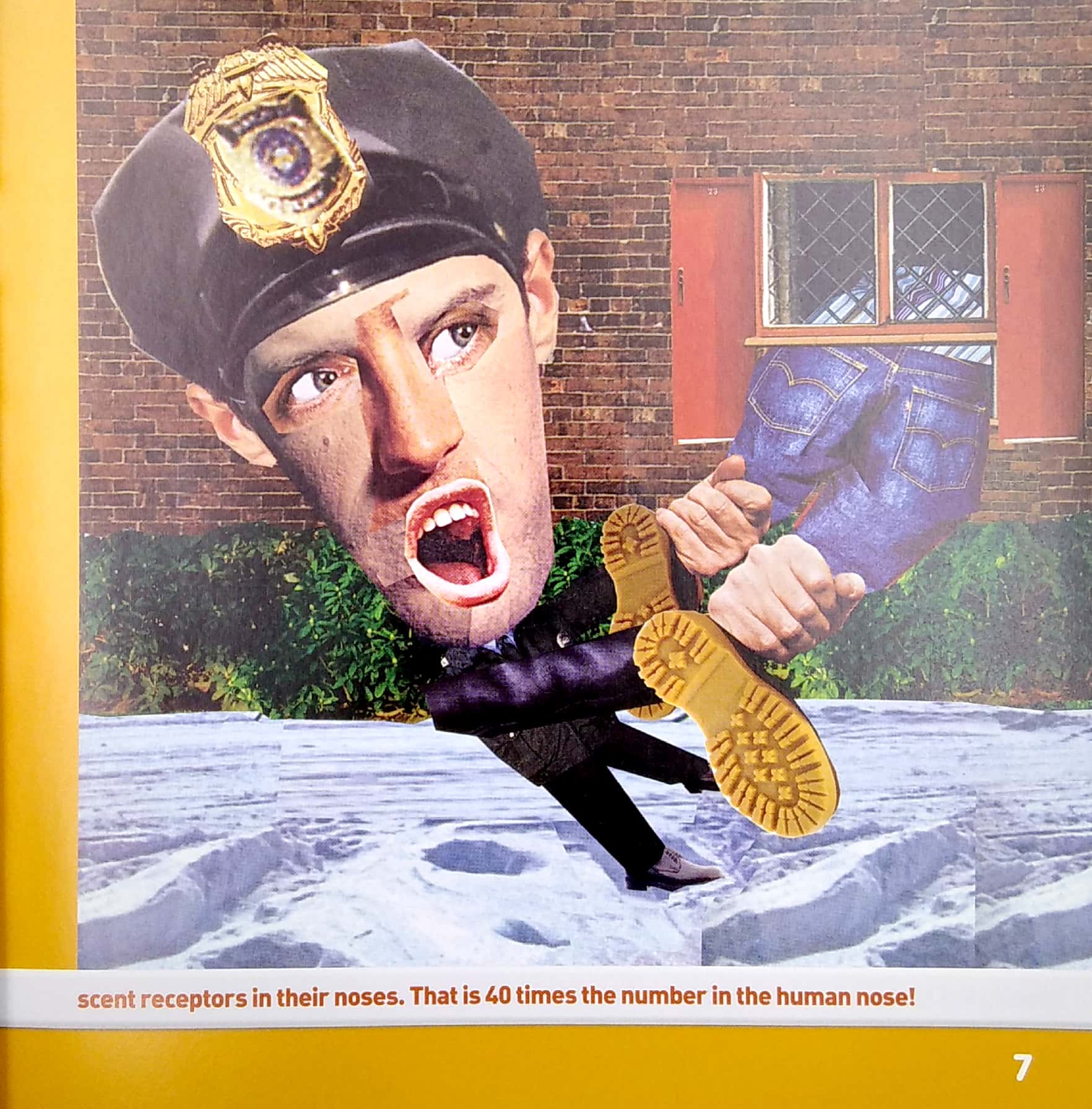 weird but true! stupid criminals: 150 brainless baddies busted, plus wacky facts - Ảnh 5