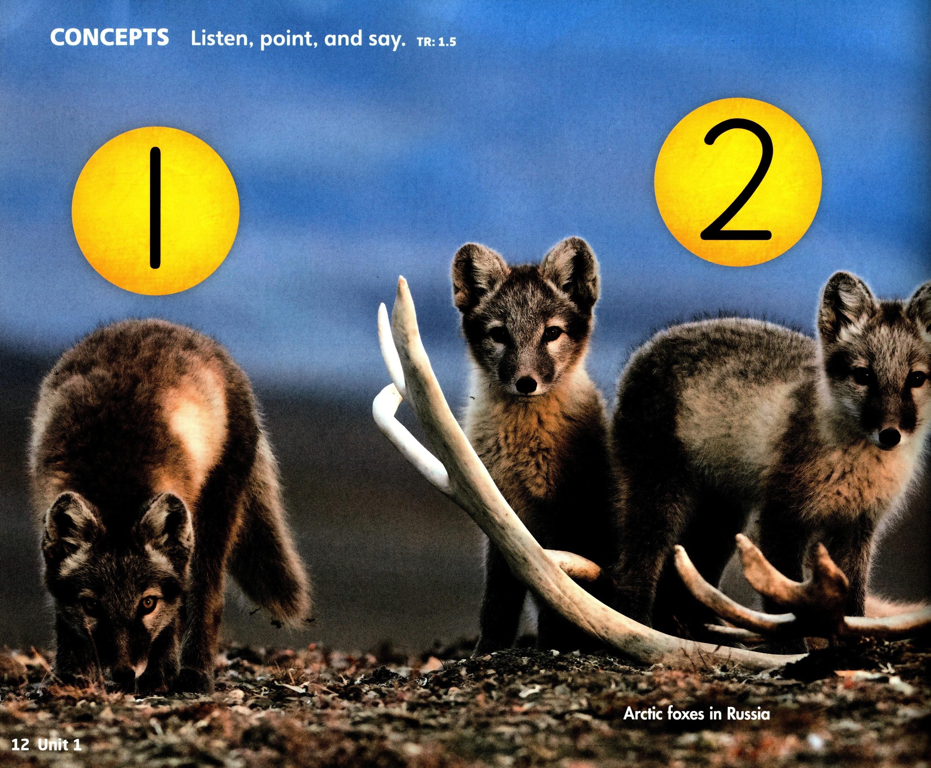 welcome to our world 1 with the spark platform (2nd edition) - Ảnh 10