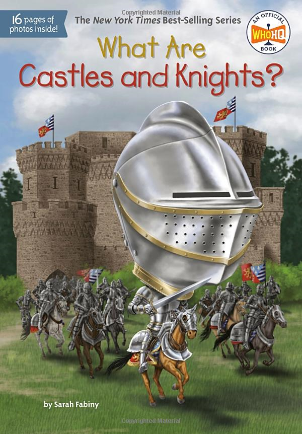 what are castles and knights? - Ảnh 2