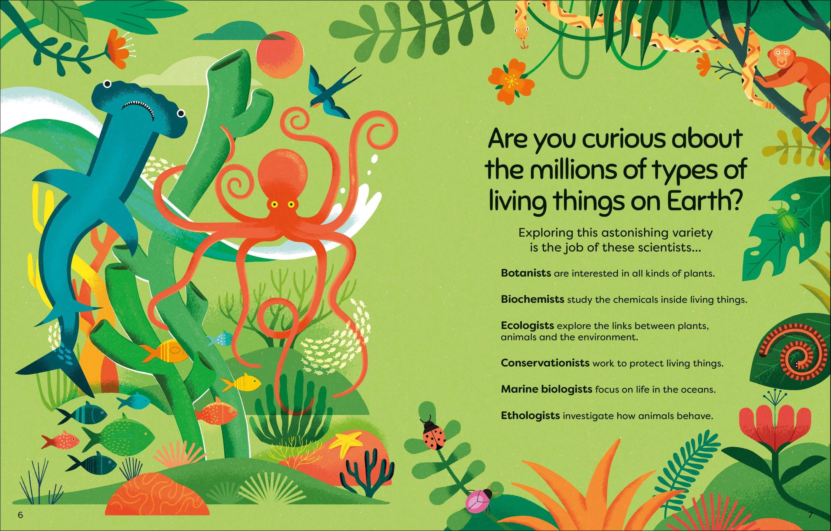 what do scientists do? - Ảnh 3