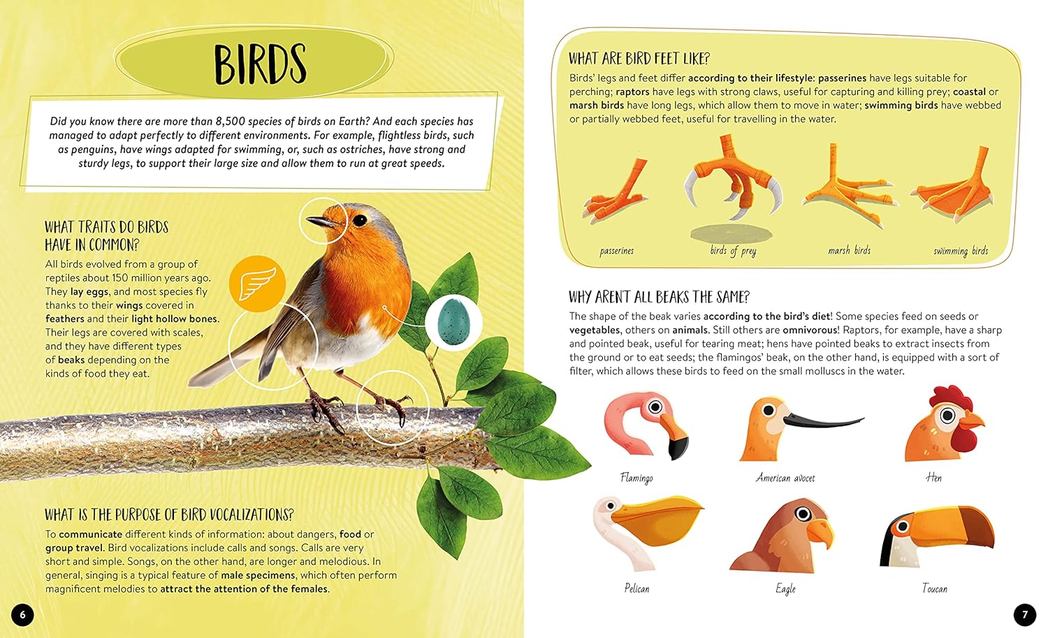 what how why animals - Ảnh 4