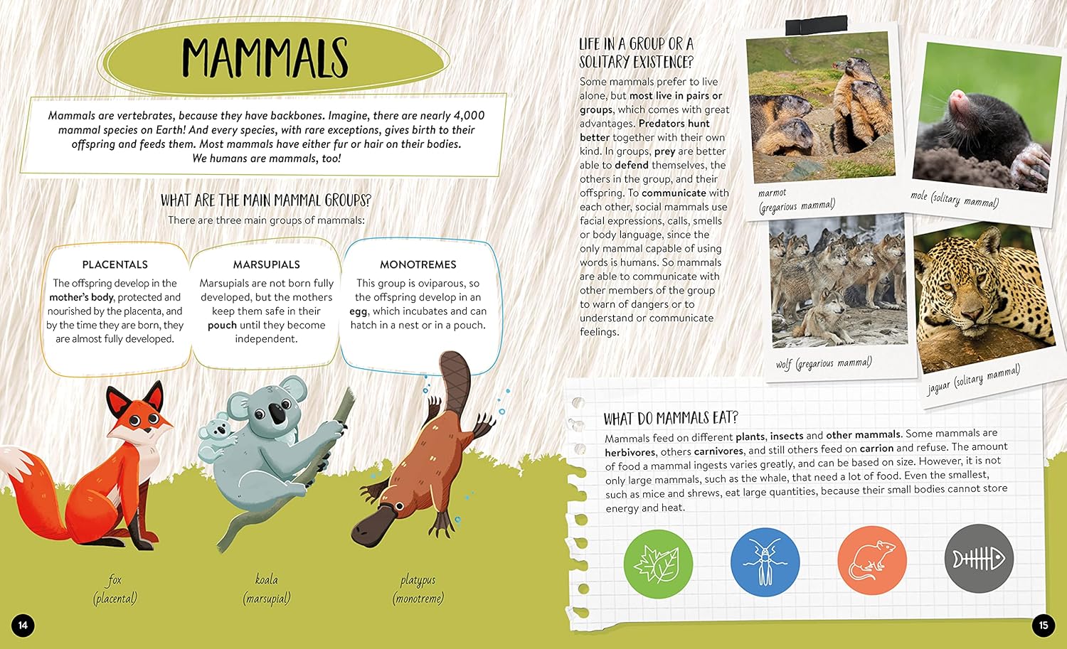 what how why animals - Ảnh 5