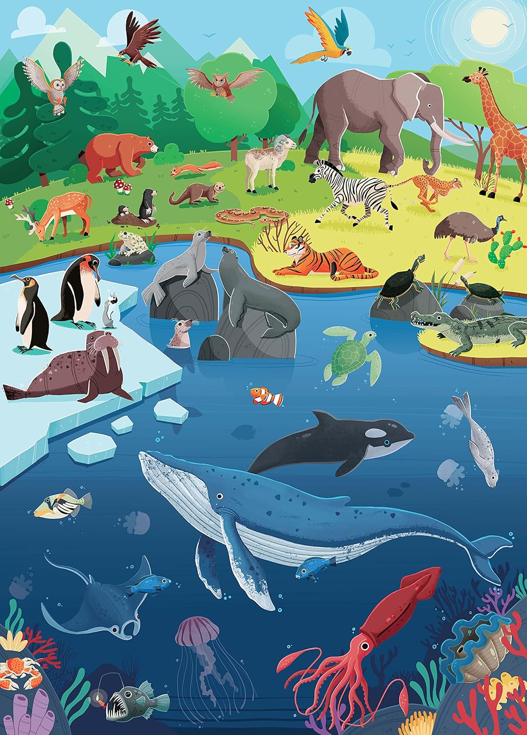 what how why animals - Ảnh 6