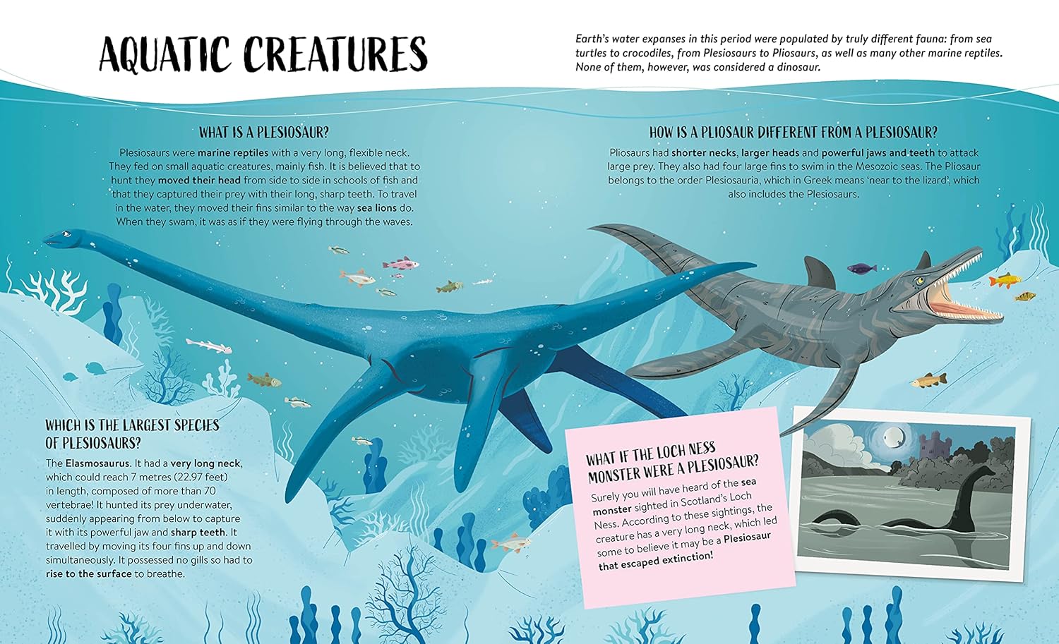 what how why dinosaurs - Ảnh 5