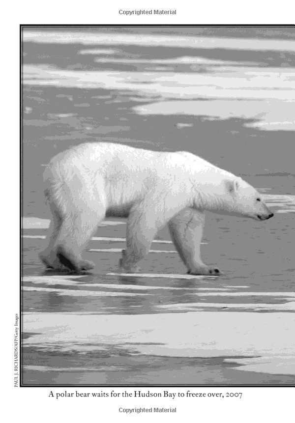 what is climate change? - Ảnh 15